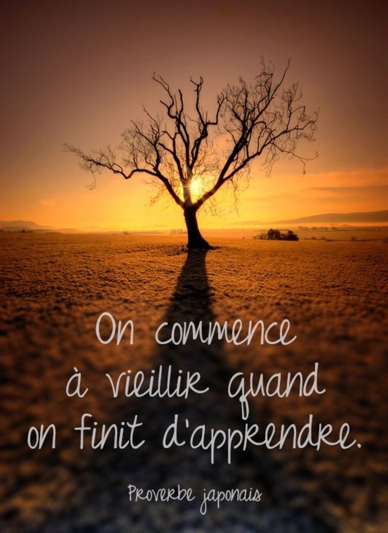 Citations Pensees Proverbes